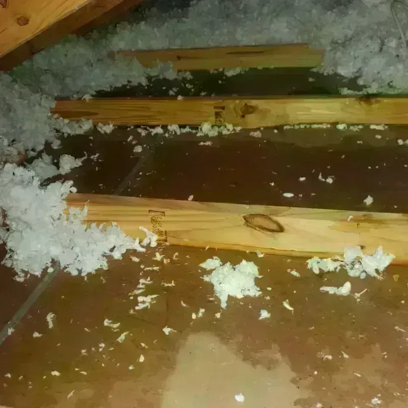 Attic Water Damage in Walker, LA