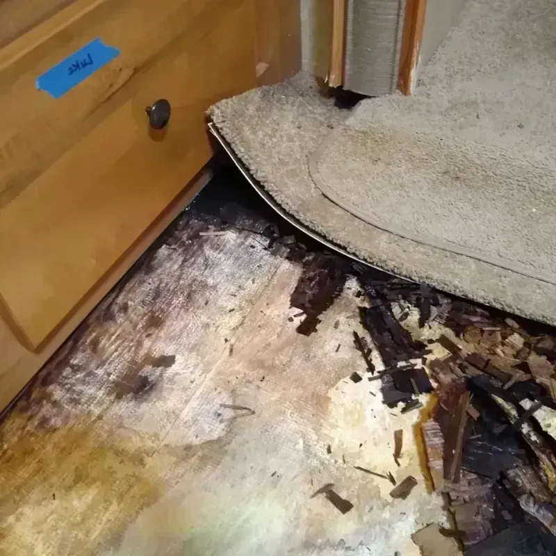 Best Wood Floor Water Damage Service in Walker, LA